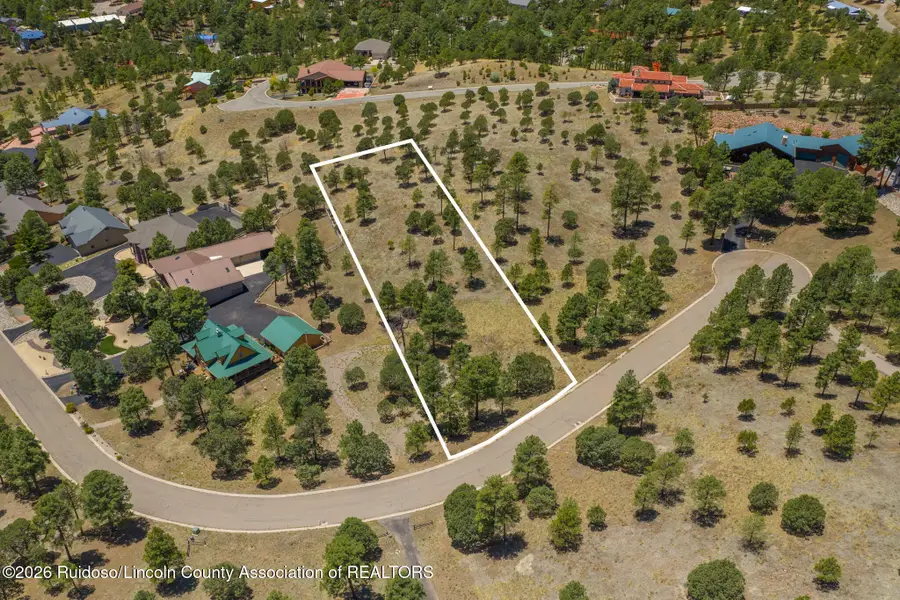 133 Charles Mcclellan Drive, Ruidoso, NM 88345 - #2