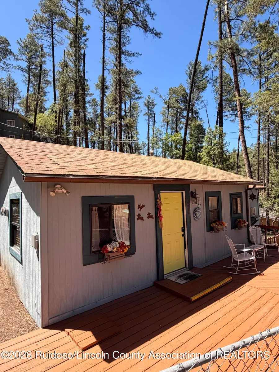 107 Rooney Road, Ruidoso, NM 88345 - #2