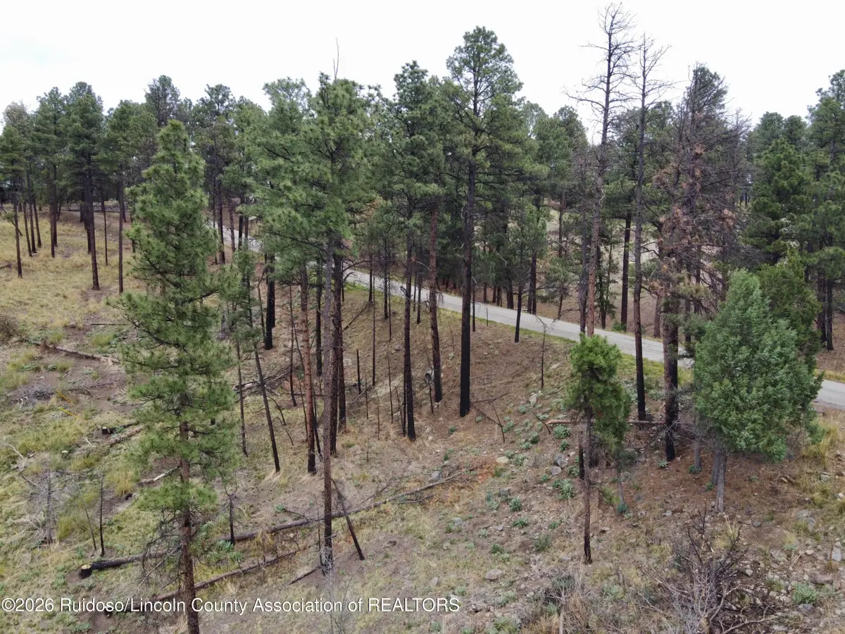 Address Withheld By Seller, Alto, NM 88312 - #1