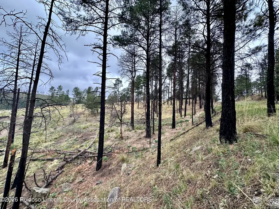 Address Withheld By Seller, Alto, NM 88312 - #2