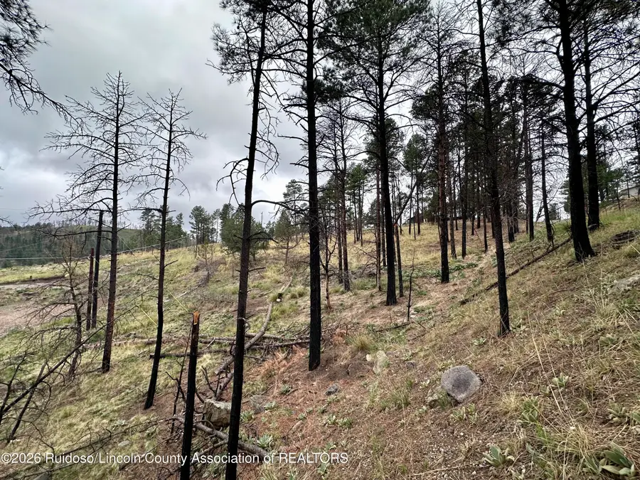 Address Withheld By Seller, Alto, NM 88312 - #3