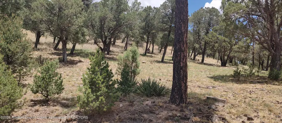 122 Topside Drive, Ruidoso, NM 88345 - #3