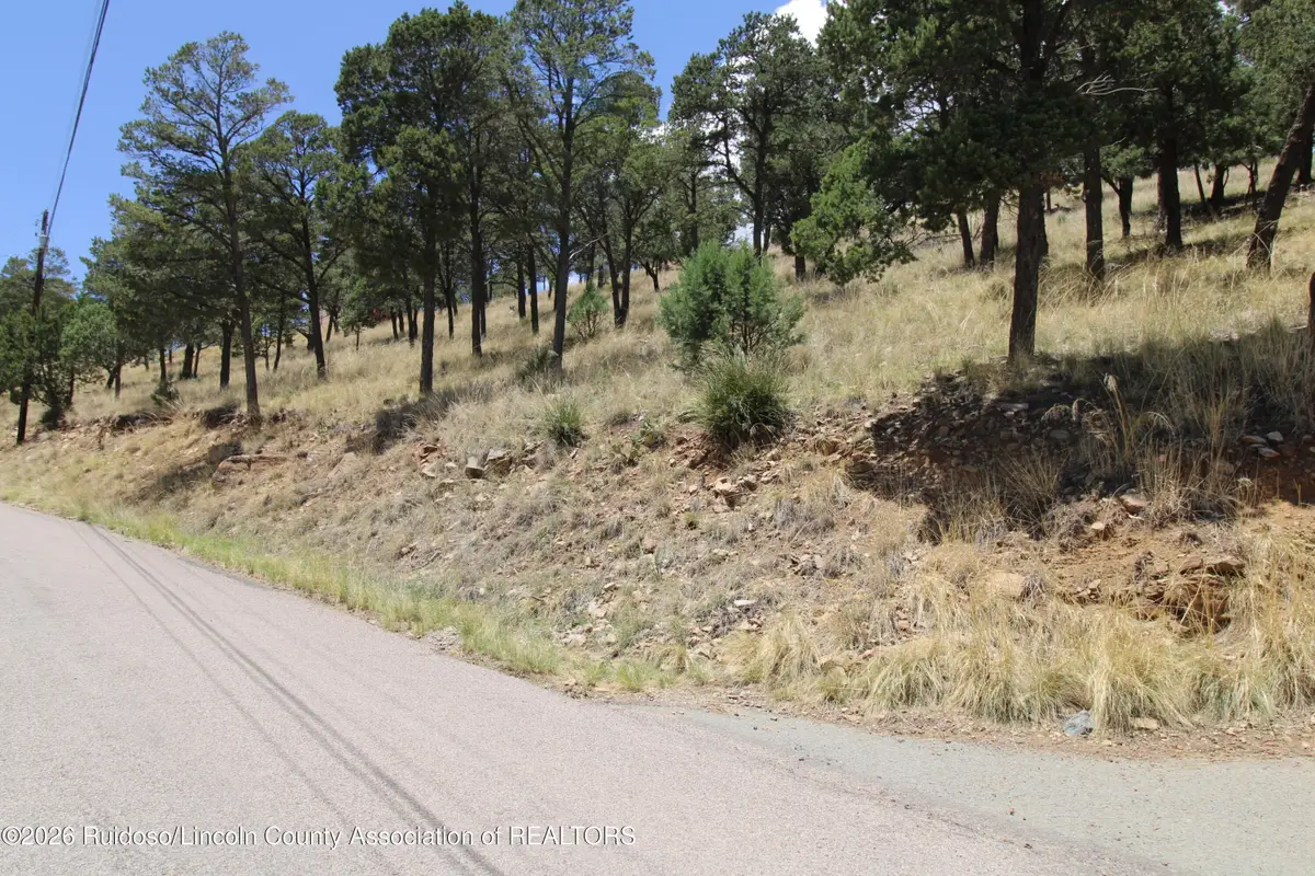 105 Valley View Drive, Ruidoso, NM 88345 - #1
