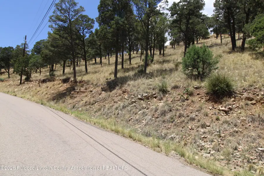 105 Valley View Drive, Ruidoso, NM 88345 - #2