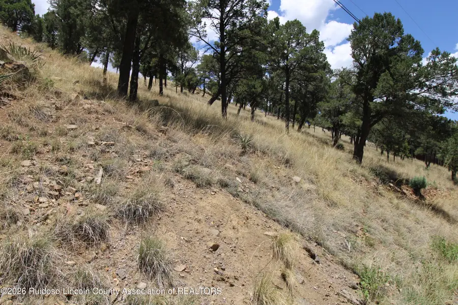 105 Valley View Drive, Ruidoso, NM 88345 - #3