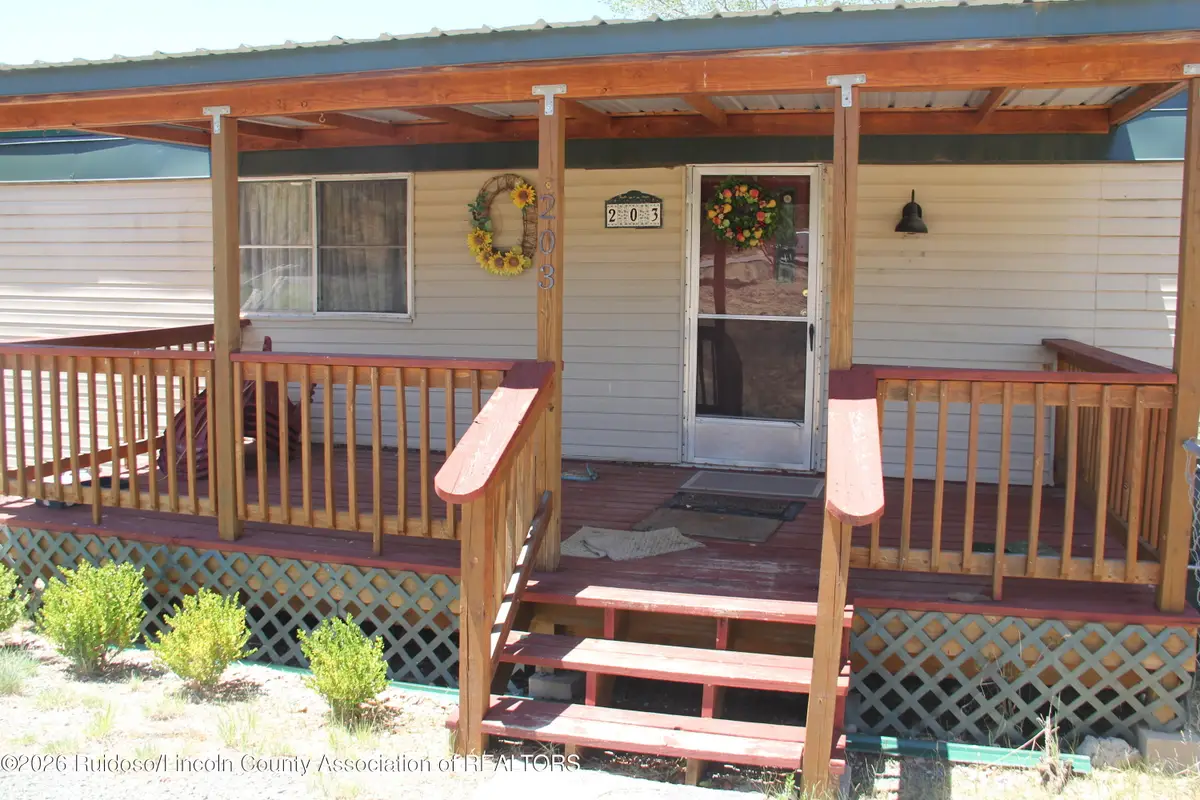 203 Main Road, Capitan, NM 88316 - #1
