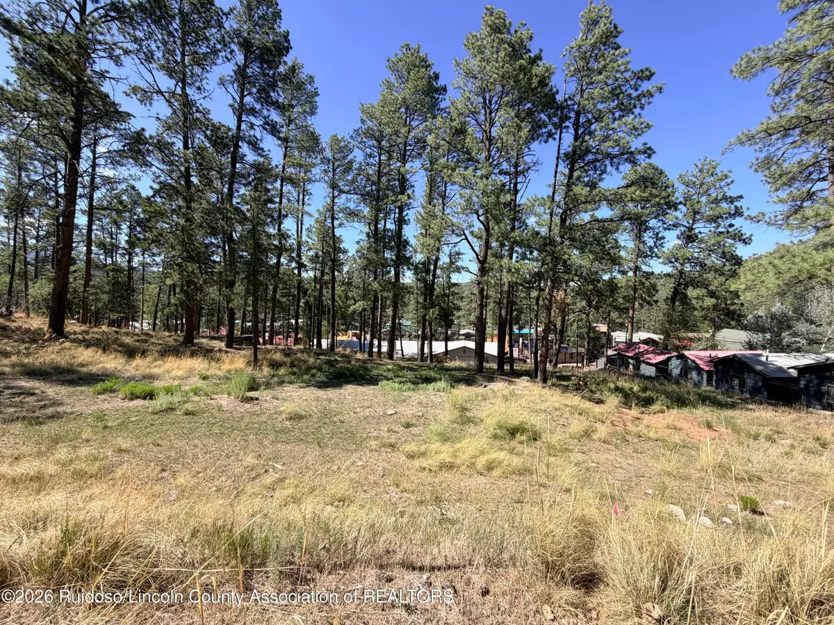 Tract B1 Wingfield Street, Ruidoso, NM 88345 - #1