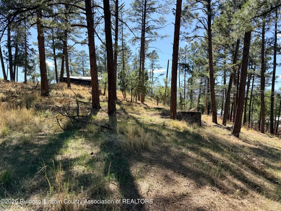 Tract B1 Wingfield Street, Ruidoso, NM 88345 - #3
