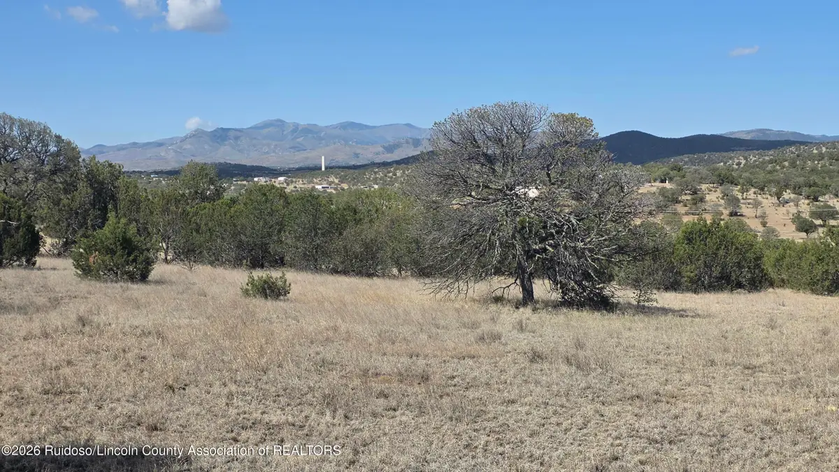 105 Zia Drive, Capitan, NM 88316 - #1