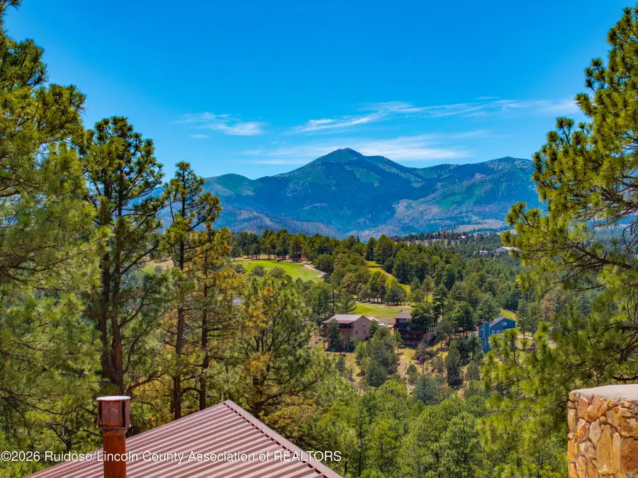 100 Berry Court, Alto, NM 88312 - #2
