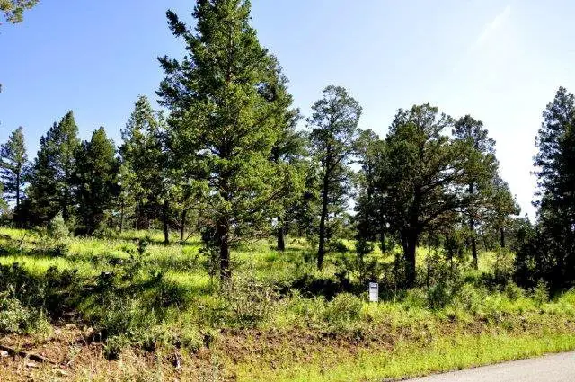 237 Cummings Drive, Ruidoso, NM 88345 - #1