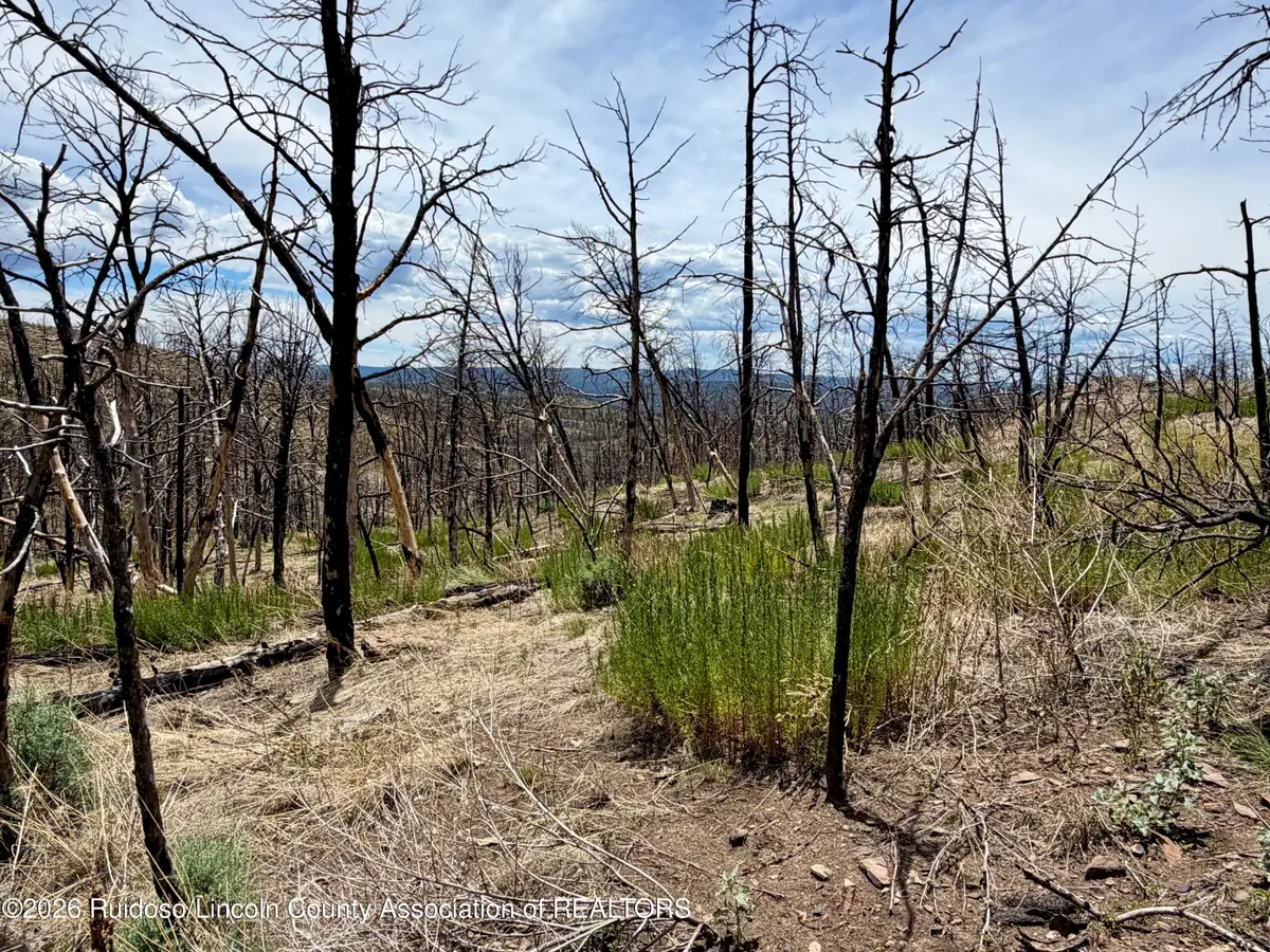 Lot 16 Mount Hood, Ruidoso, NM 88345 - #1