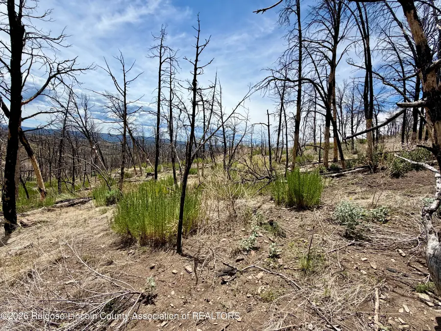 Lot 16 Mount Hood, Ruidoso, NM 88345 - #2