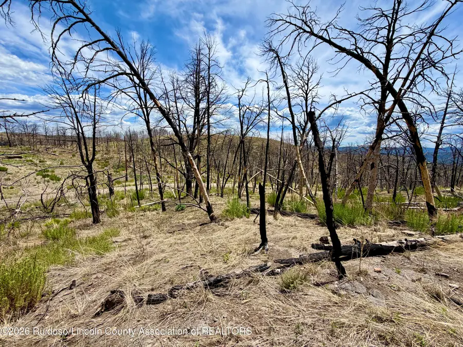 Lot 16 Mount Hood, Ruidoso, NM 88345 - #3