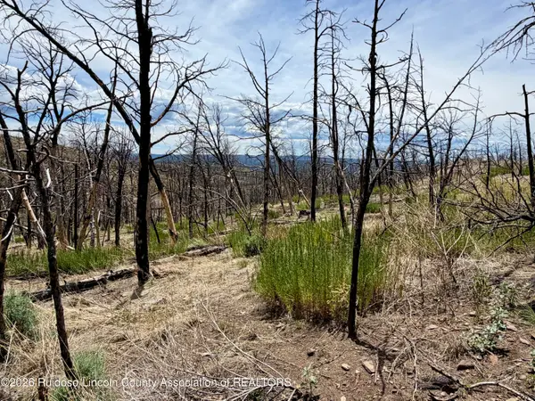 Lot 17 Mount Hood, Ruidoso, NM 88345