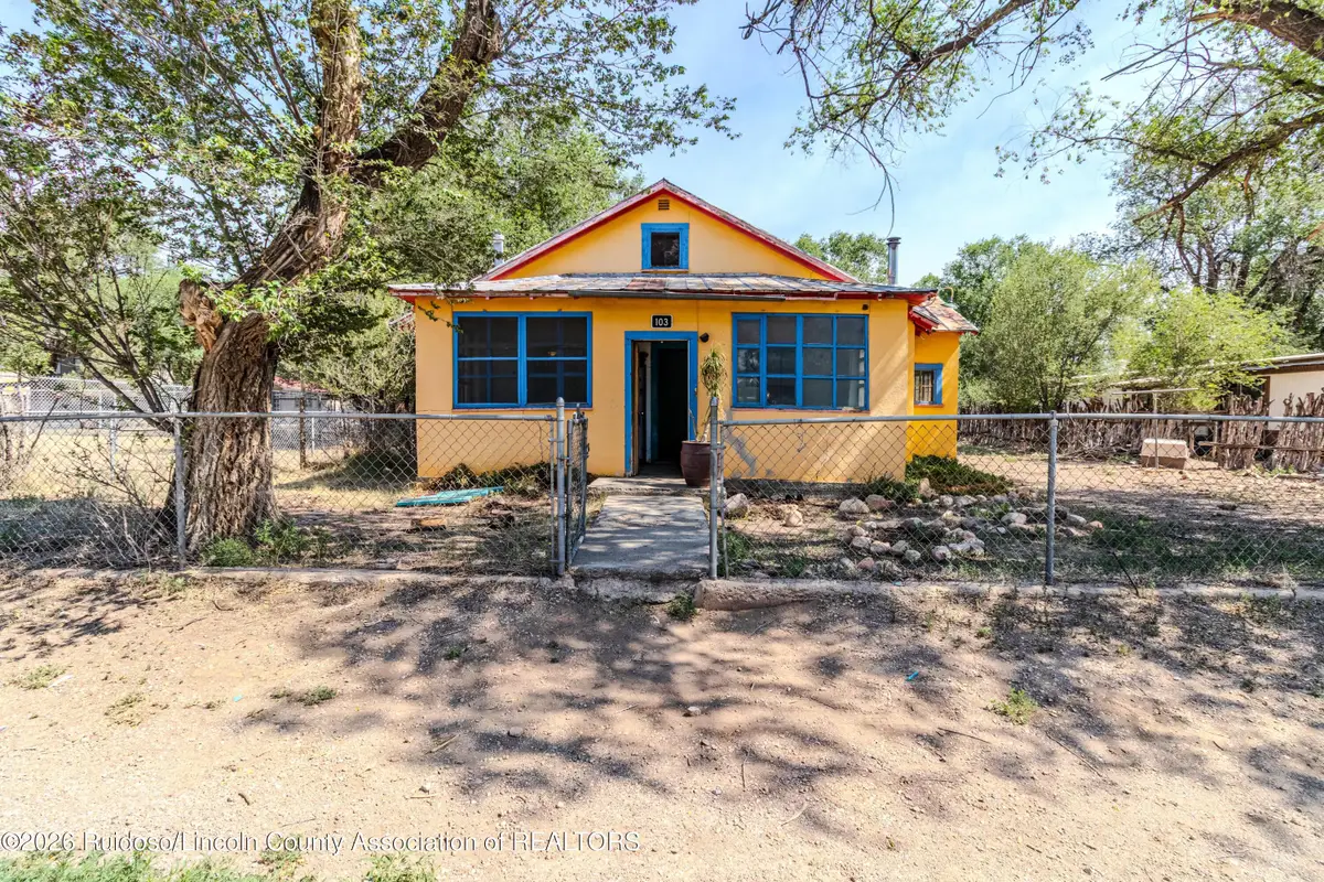 103 E 2nd Street, Capitan, NM 88316 - #1