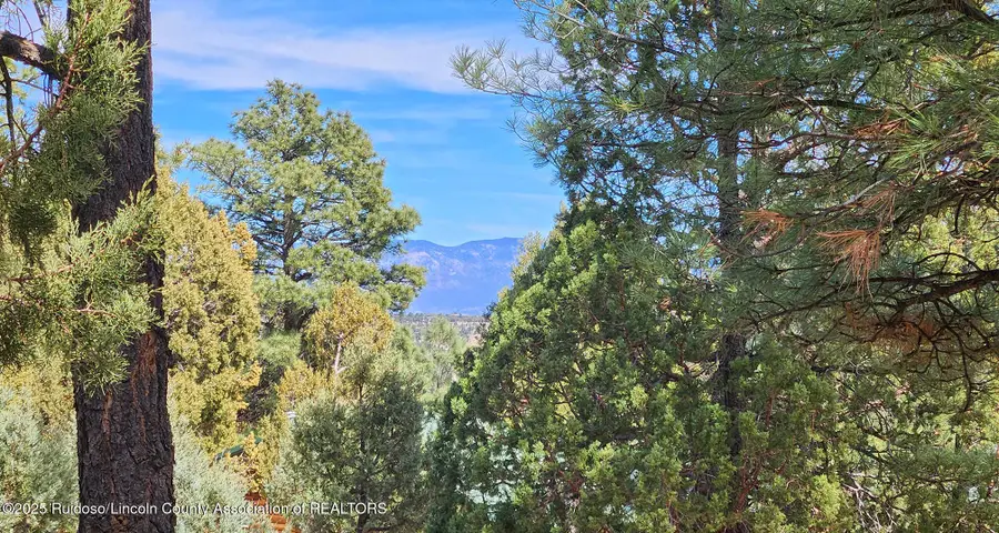 129 Sunland Road, Alto, NM 88312 - #2