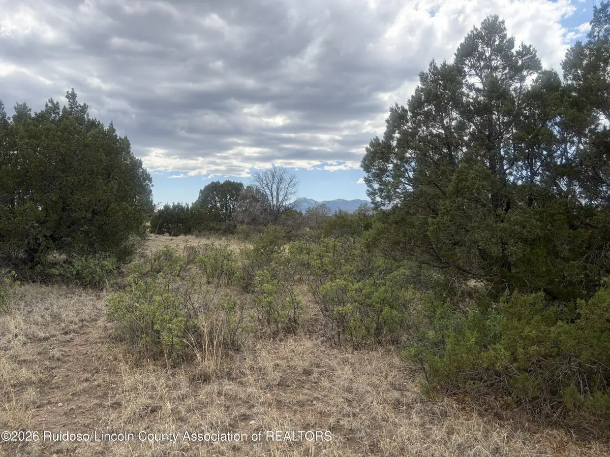 Tract 11 Rio Hondo, Alto, NM 88312 - #1