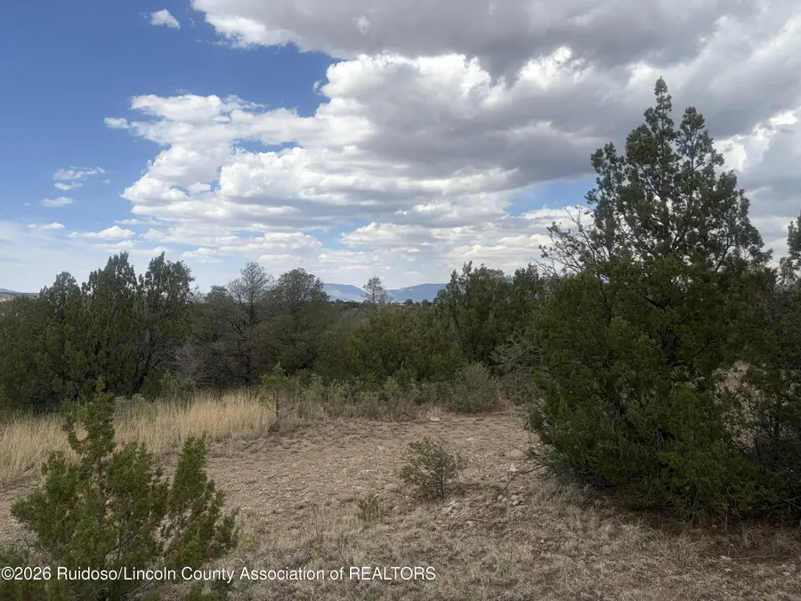 Tract 11 Rio Hondo, Alto, NM 88312 - #2