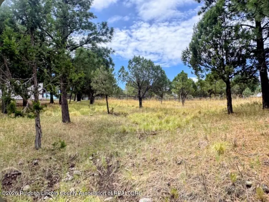 166 Eagle Ridge Road, Alto, NM 88312 - #1