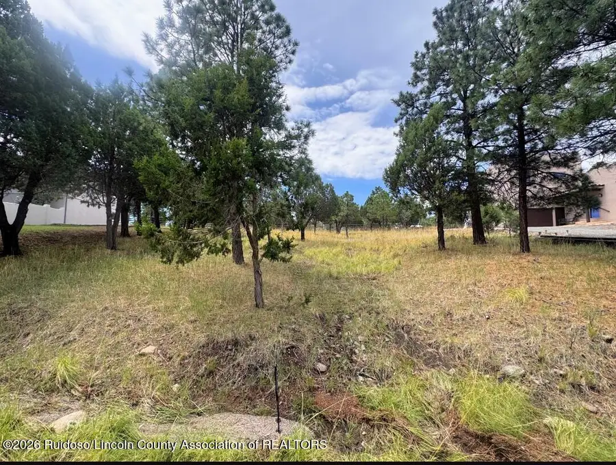 166 Eagle Ridge Road, Alto, NM 88312 - #2