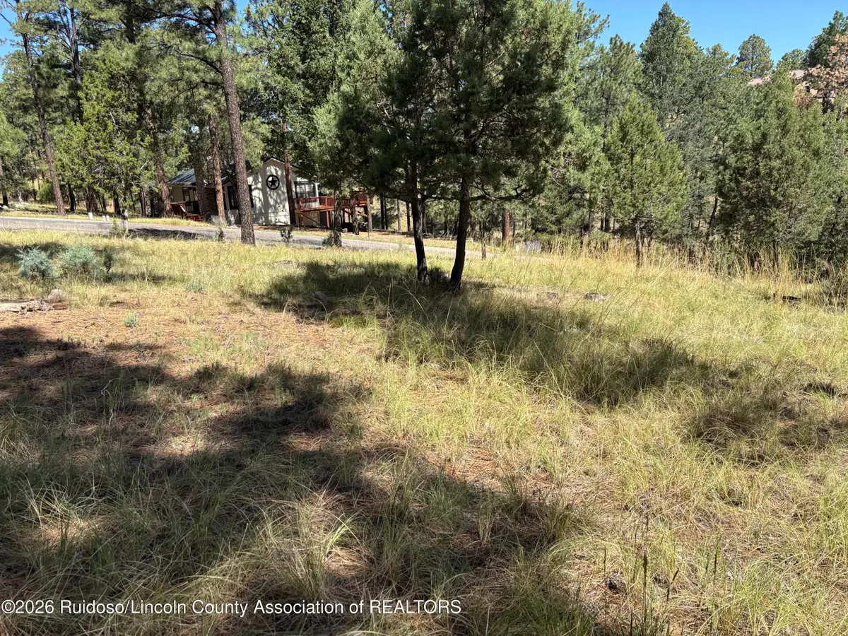 102 Twin Tree Loop, Alto, NM 88312 - #1