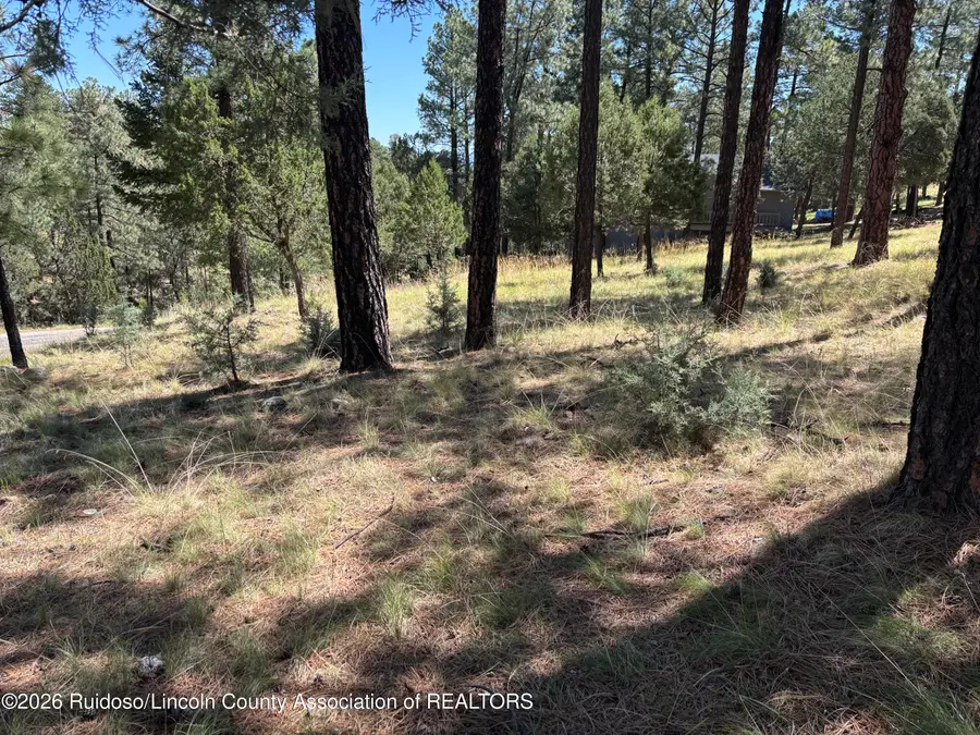 102 Twin Tree Loop, Alto, NM 88312 - #2