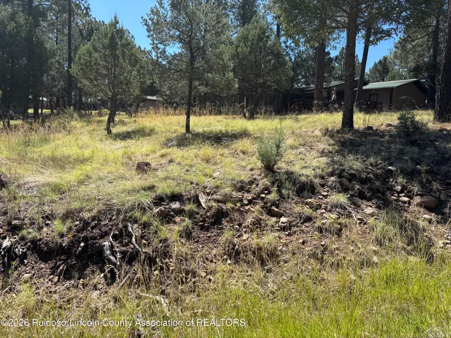 102 Twin Tree Loop, Alto, NM 88312 - #3