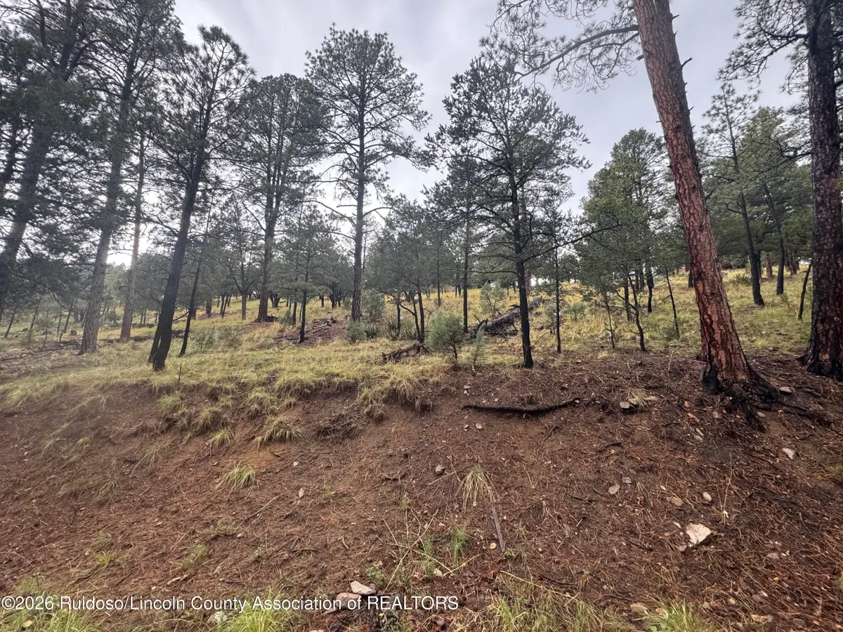 43 Alto Road, Alto, NM 88312 - #1