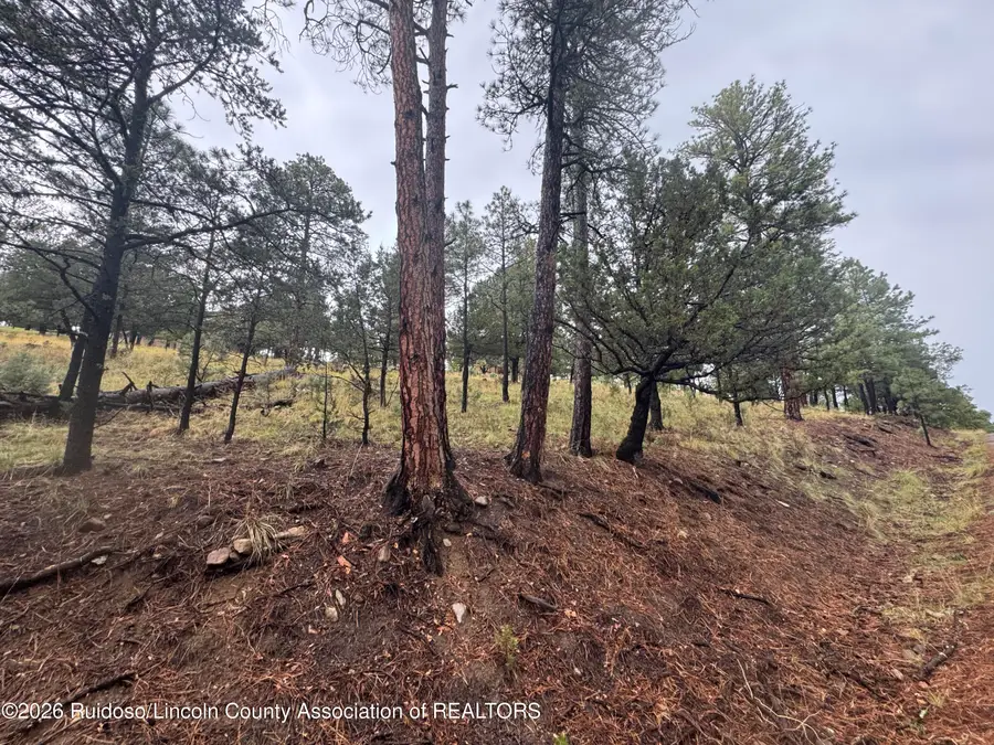 43 Alto Road, Alto, NM 88312 - #2