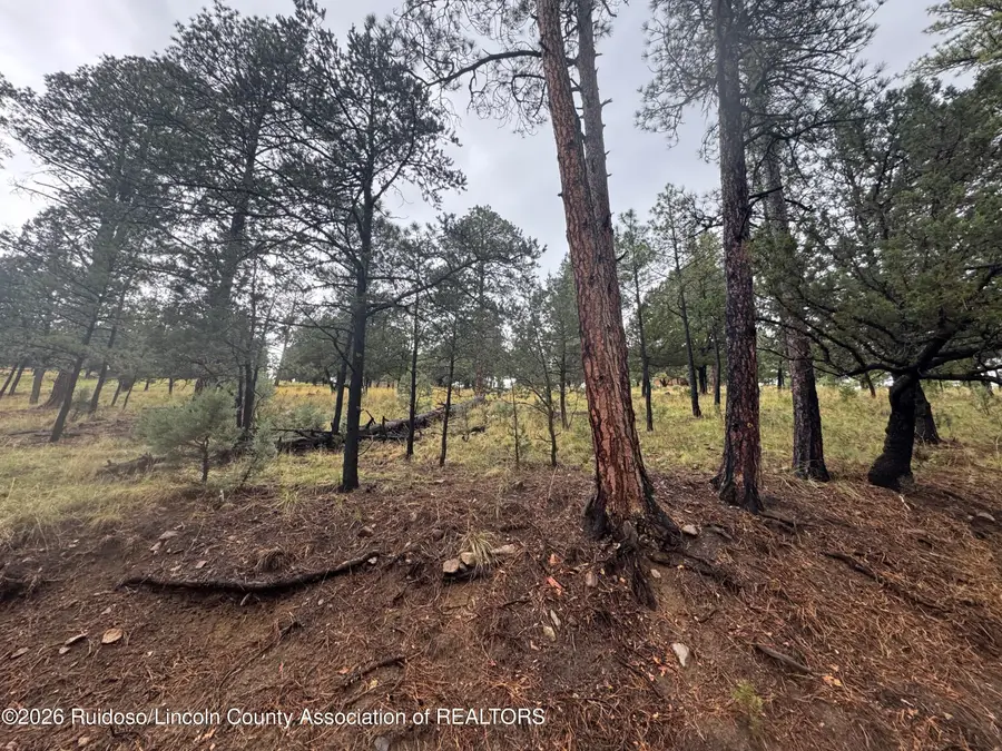 43 Alto Road, Alto, NM 88312 - #3