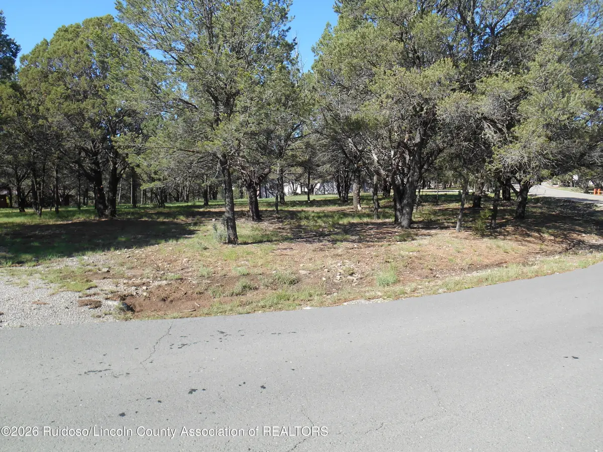222 Deer Park Drive, Alto, NM 88312 - #1