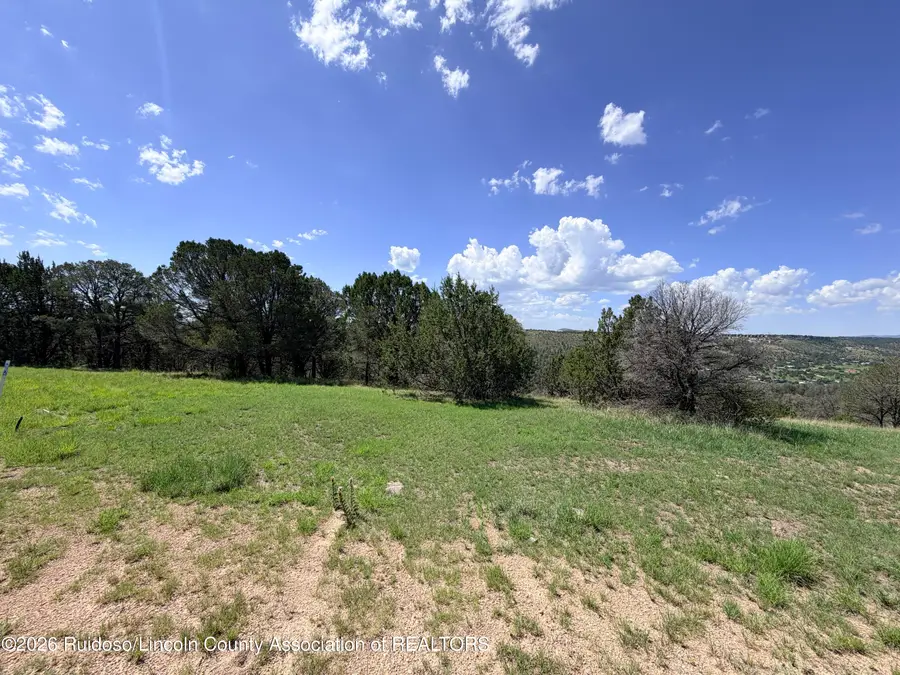 Lot 17 Spencer Road, Alto, NM 88312 - #2