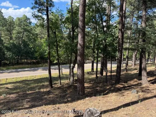 Lot 62 Fort Stanton Rd., Alto, NM 88312 - #1