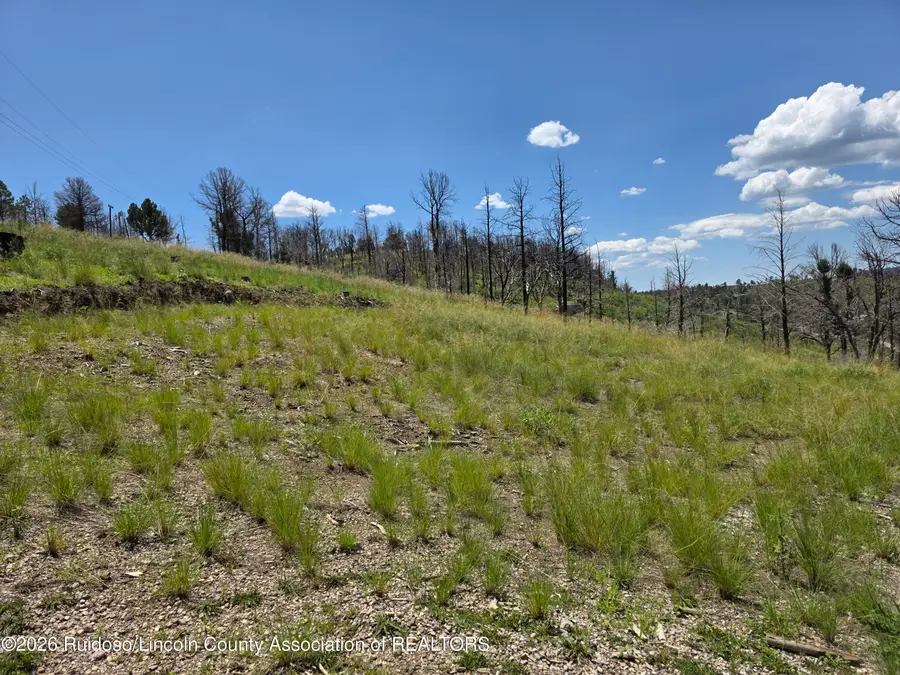 101 Twin Pines Road, Ruidoso, NM 88345 - #2