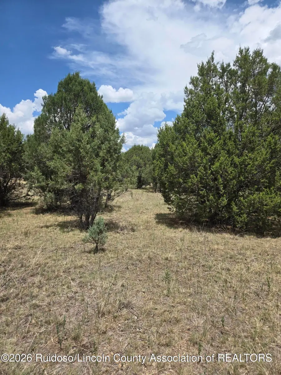 Lot 221 Antler Drive, Alto, NM 88312 - #2