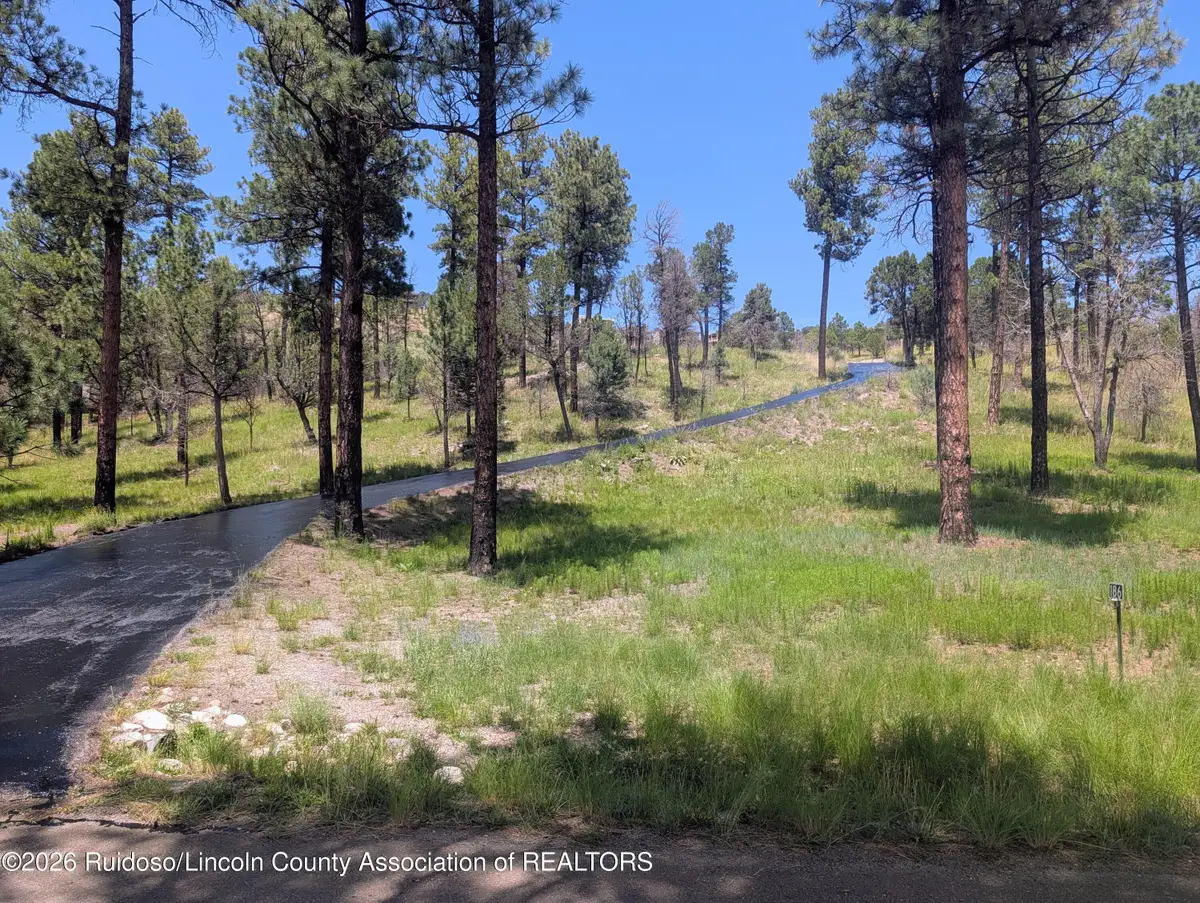 186 Deer Creek Road, Ruidoso, NM 88345 - #1