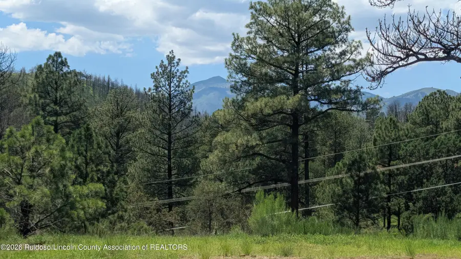 186 Deer Creek Road, Ruidoso, NM 88345 - #2