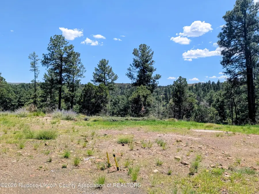 186 Deer Creek Road, Ruidoso, NM 88345 - #3