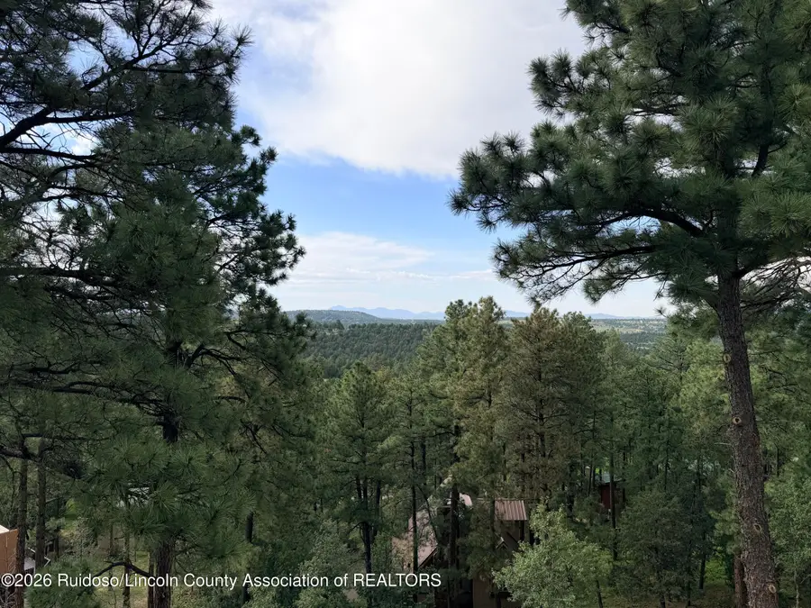 116 Augusta Court, Alto, NM 88312 - #3