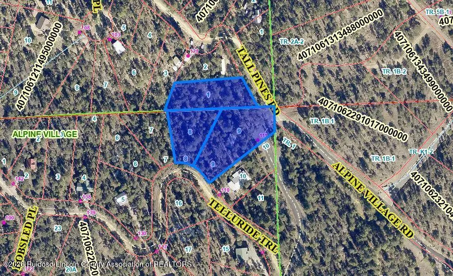 111 Tall Pines Road, Ruidoso, NM 88345 - #1