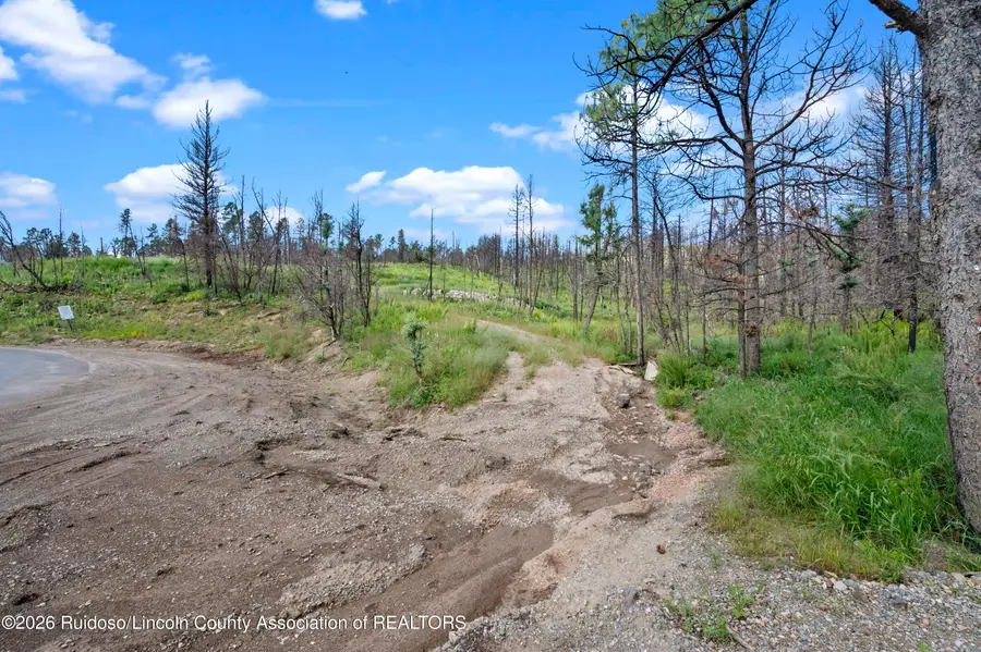 111 Tall Pines Road, Ruidoso, NM 88345 - #2
