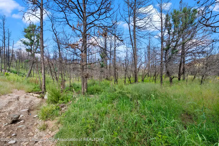 111 Tall Pines Road, Ruidoso, NM 88345 - #3