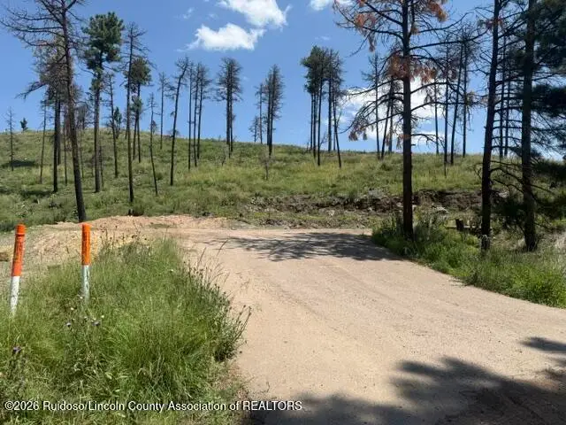 101 University Drive, Ruidoso, NM 88345 - #2