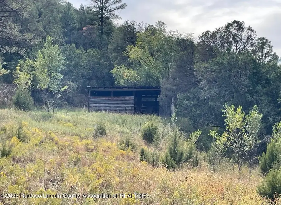208 Spring Road, Ruidoso Downs, NM 88346 - #3