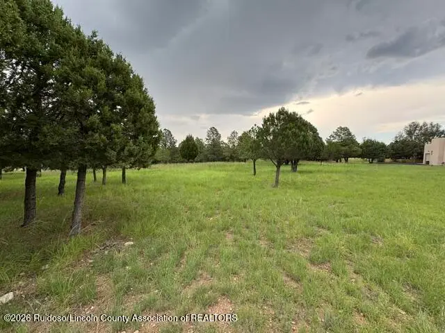 L2, B8 Sage Road, Alto, NM 88312 - #2