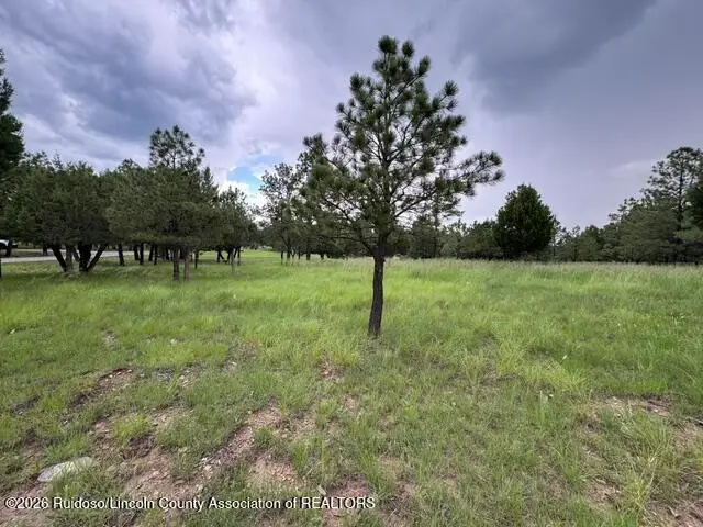 L2, B8 Sage Road, Alto, NM 88312 - #3