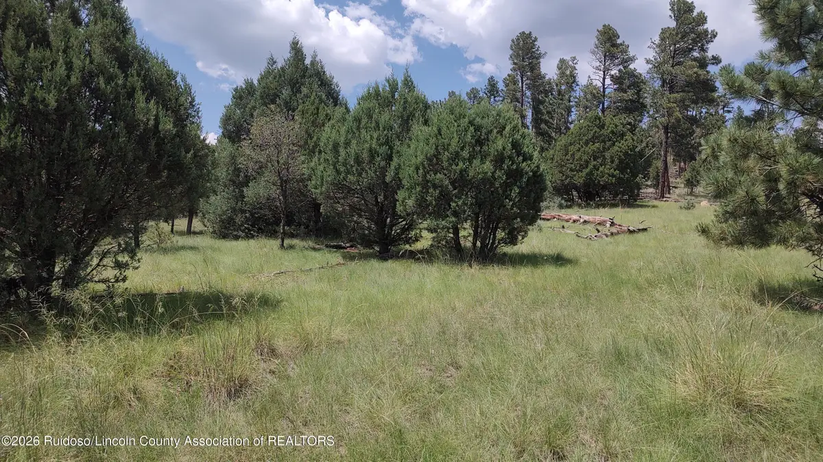 900 Nm State Highway 48, Alto, NM 88312 - #1