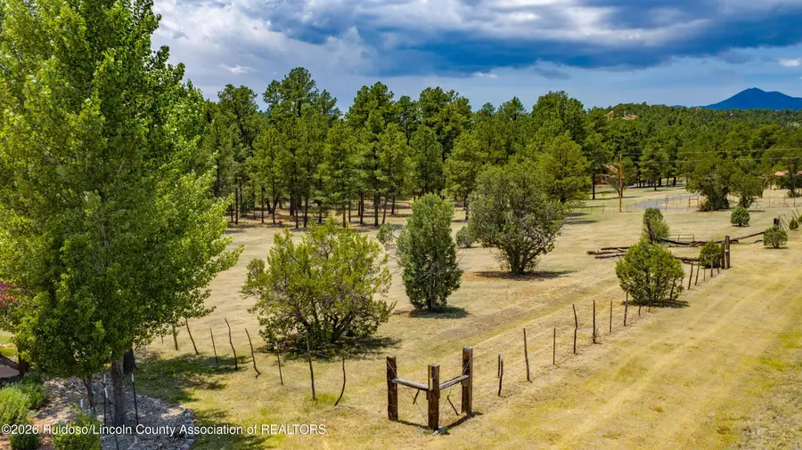 114 Pine Point Trail, Alto, NM 88312 - #3