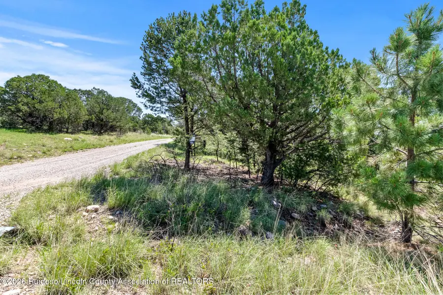 121 San Mateo Drive, Alto, NM 88312 - #2